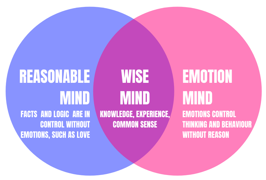 DBT wise mind - the synthesis of the two opposites: reasonable mind and emotion mind 